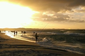Tailor off limits at Fraser Island